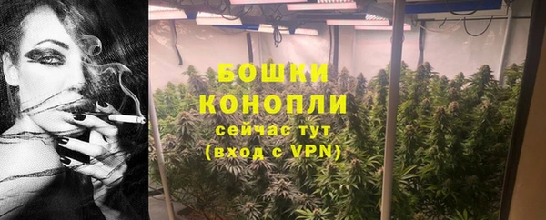 ПСИЛОЦИБИНОВЫЕ ГРИБЫ Медногорск
