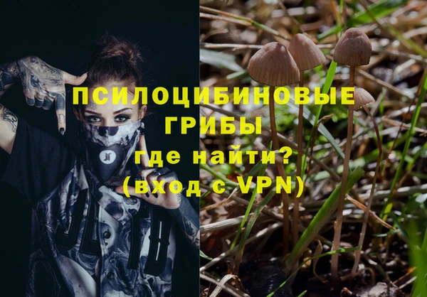 ПСИЛОЦИБИНОВЫЕ ГРИБЫ Медногорск