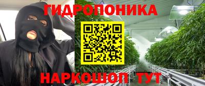 твердый Будённовск