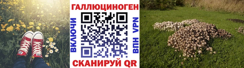 Галлюциногенные грибы Magic Shrooms  наркотики  Гуково 
