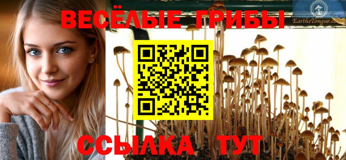 Галлюциногенные грибы мицелий  Гуково 