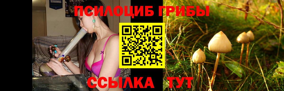 Гуково  Псилоцибиновые грибы ЛСД  где можно купить наркотик  Вход с VPN 